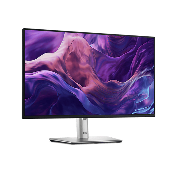Dell P2425H 24 inch IPS Monitor
